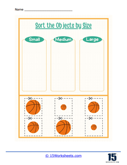Basketballs Worksheet