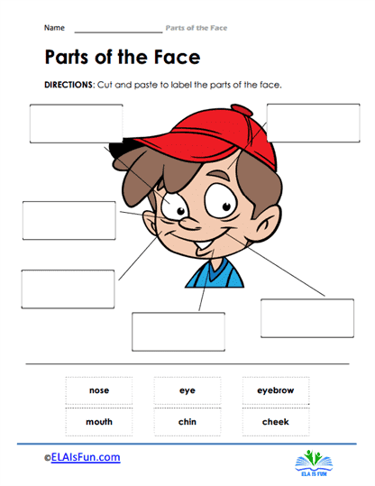 Parts of the Face Worksheets