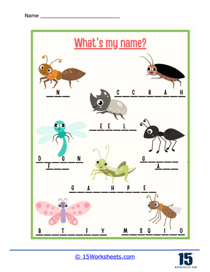 Naming Insects