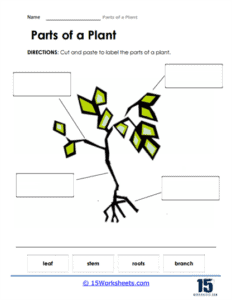 Parts of a Plant Worksheets - 15 Worksheets.com