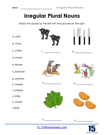 Irregular Plural Noun Worksheets