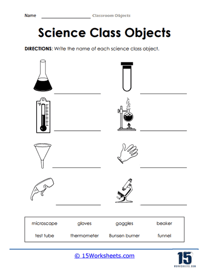 Science Class Objects Worksheet