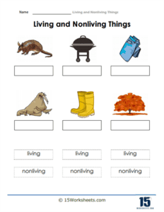 Living and Nonliving Things Worksheets - 15 Worksheets.com