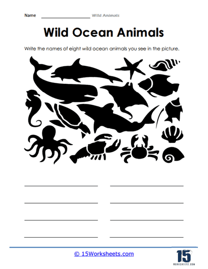 Wild Ocean Animals