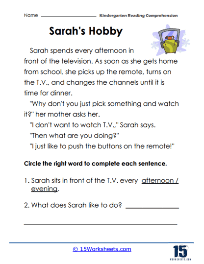 Sarah's Hobby Worksheet