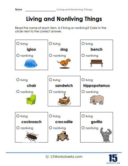 Living and Nonliving Things Worksheets