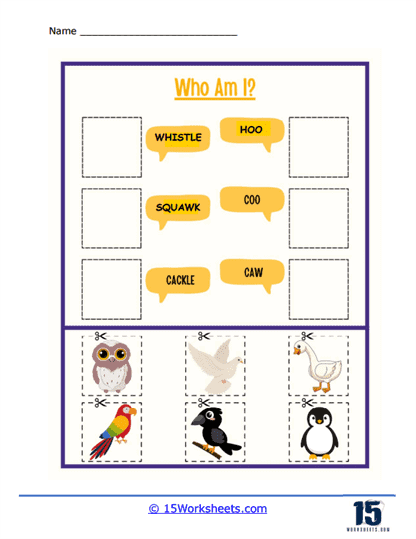 Our Feathered Friends Worksheet
