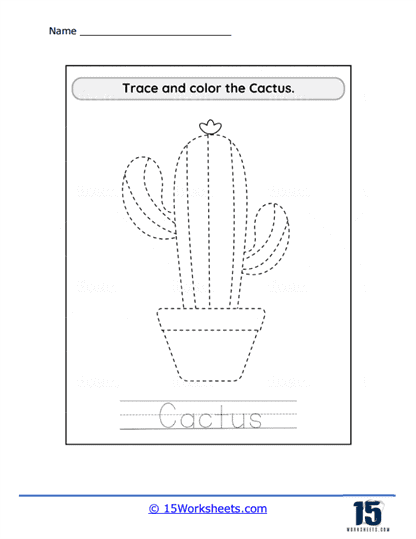 Cactus Outlines Worksheet