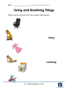 Living and Nonliving Things Worksheets - 15 Worksheets.com