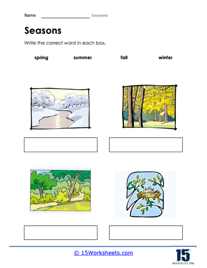 Seasons of the Year Worksheets