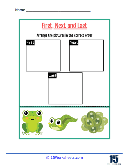 Froggy's Growth Journey Worksheet