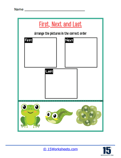 First,next,last interactive worksheet