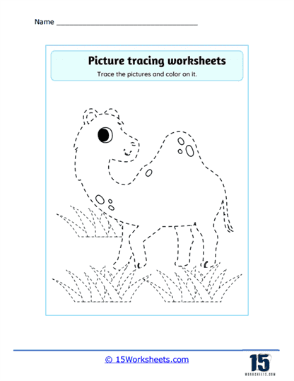 Camel Tracing Worksheet