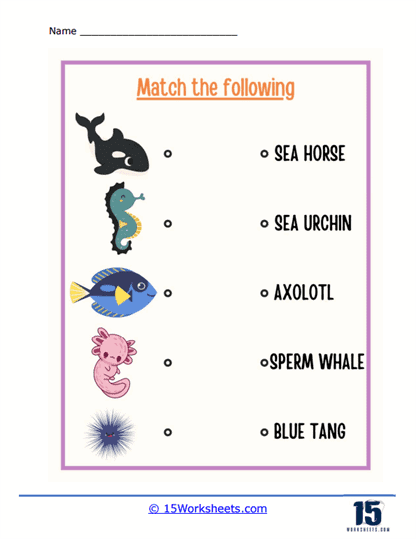 Match the Following