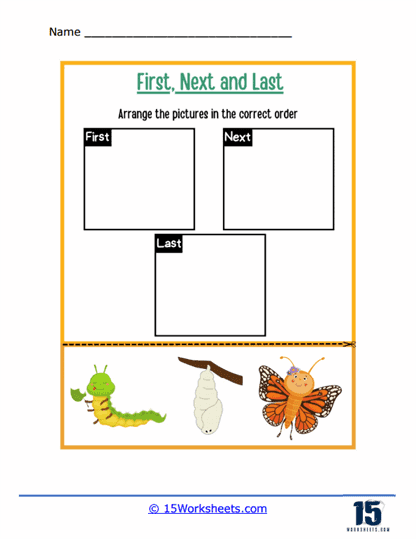 Butterfly Life Cycle Adventure Worksheet