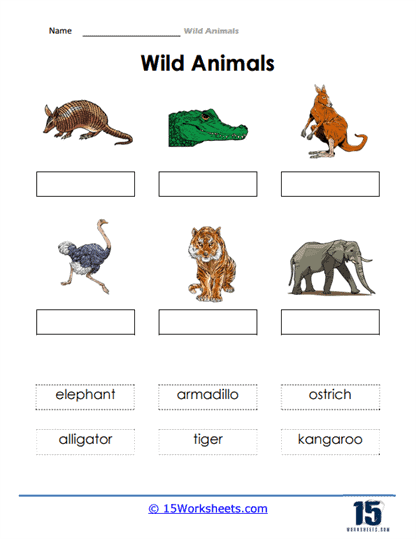 Naming Wild Animals