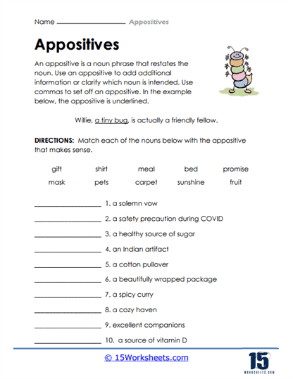 appositives-worksheets-15-worksheets