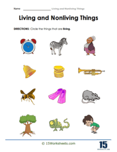 Living and Nonliving Things Worksheets - 15 Worksheets.com