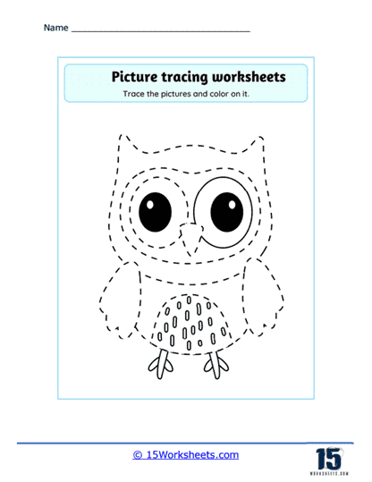 Owl Outlines Worksheet