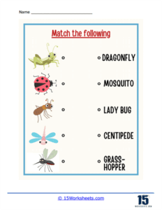 Insects Worksheets - 15 Worksheets.com