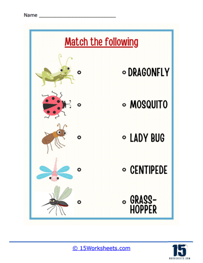 The Insect Match
