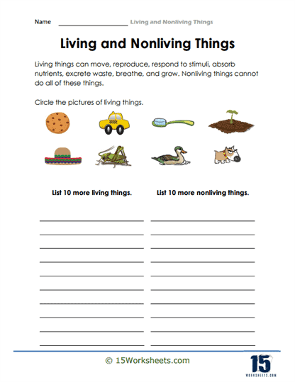 Living And Nonliving Things Worksheets Worksheets Com