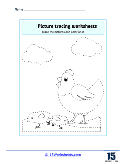 Chicken and Chicks Worksheet