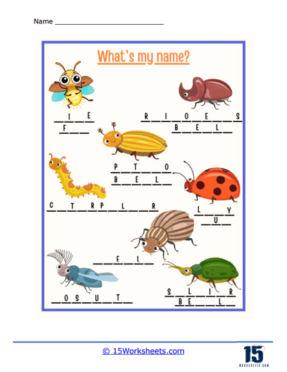 Insect Worksheets