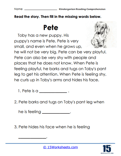 Pete the Puppy Worksheet