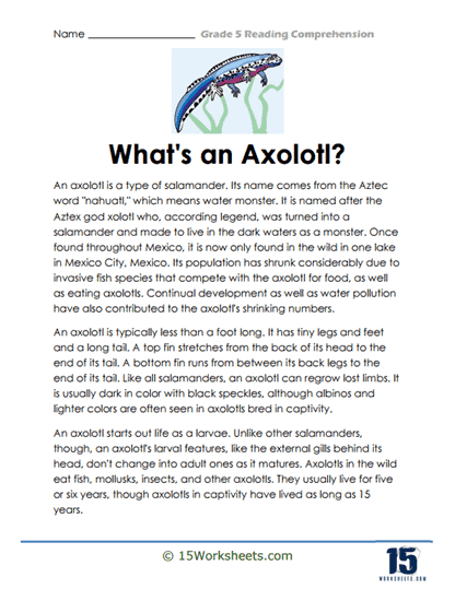 Axolotl Wonders