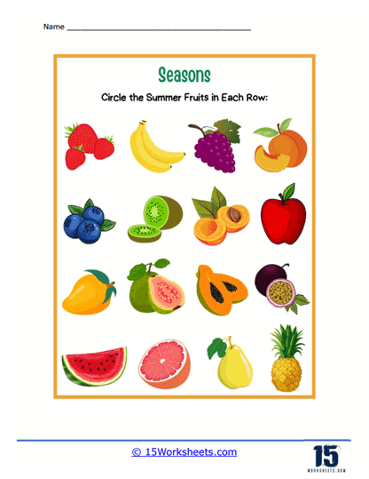 Summer Fruits Worksheet
