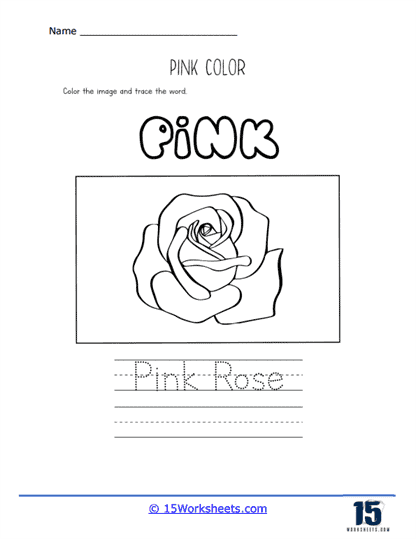 Pink Rose Worksheet