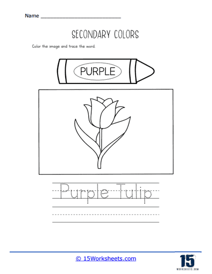 Purple Tulip Worksheet