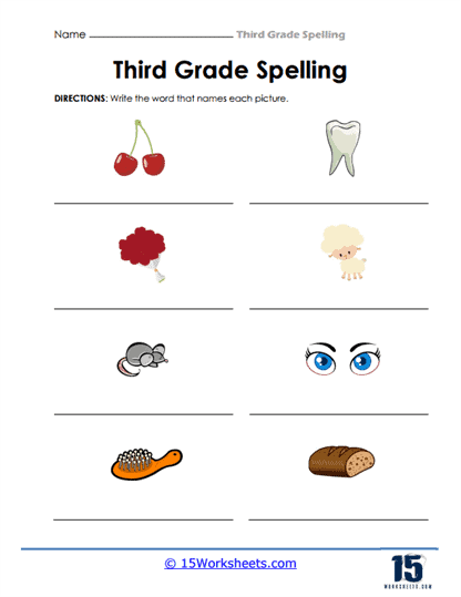 3rd Grade Picture Names Worksheet