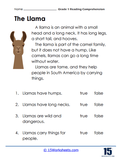 Llama Facts