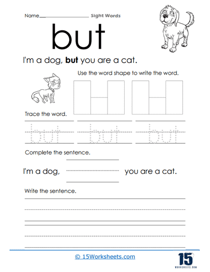 But a Cat Worksheet