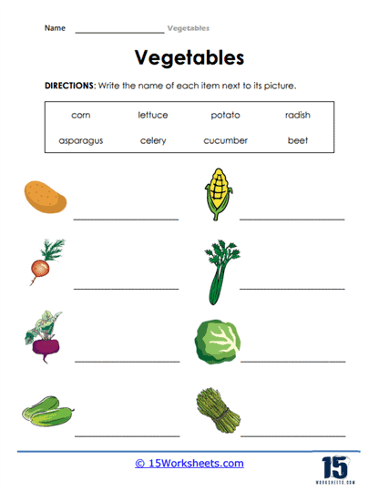 Vegetable Worksheets