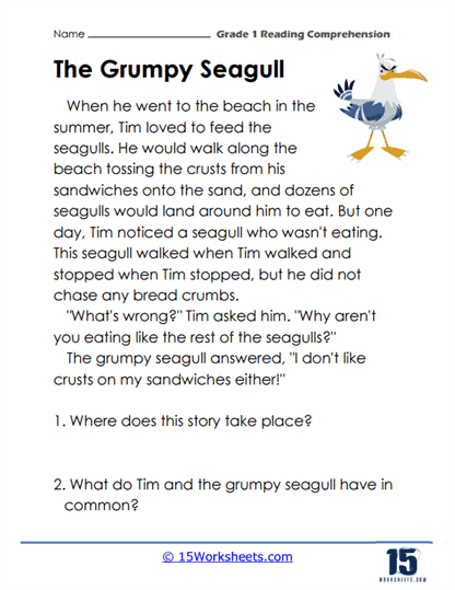 Tim And The Grumpy Seagull