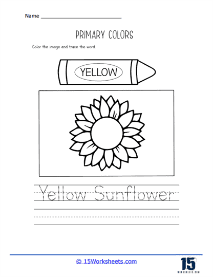 Yellow Sunflower Worksheet