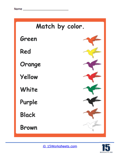 Bird Matching Worksheet
