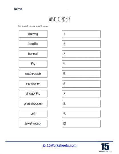 Insect Name Order Worksheet