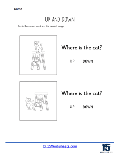 Where is the Cat Worksheet