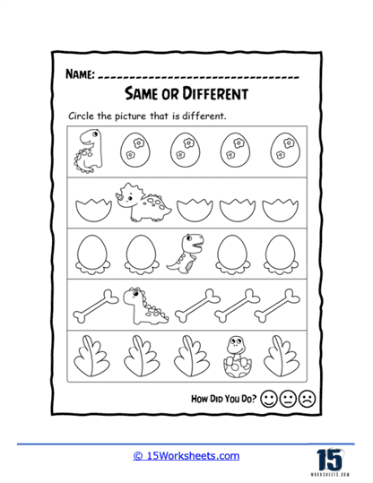 What is Different? Worksheet