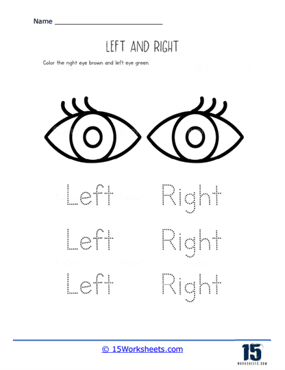 Left or Right Eyes Worksheet