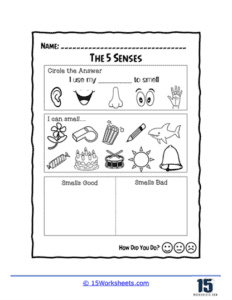 Five Senses Worksheets - 15 Worksheets.com