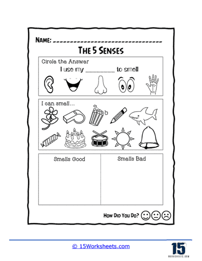 five senses worksheets for kindergarten