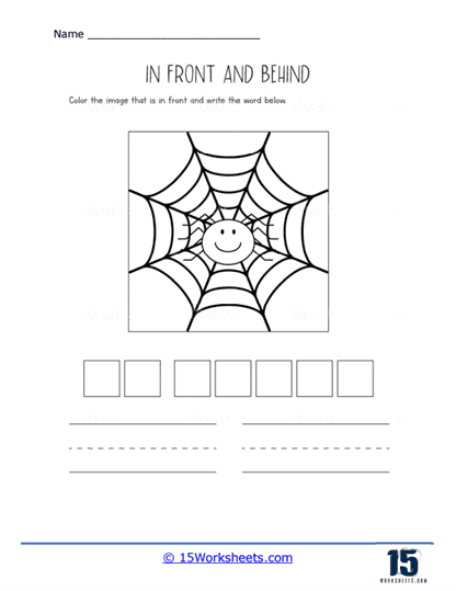 Spider's Web Worksheet