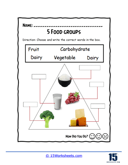 The Food Pyramid Worksheet