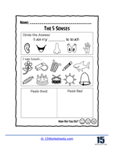The Five Senses Worksheets - 15 Worksheets.com