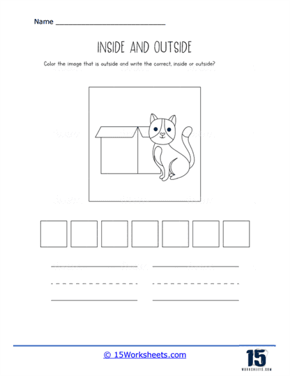 The Box and the Cat Worksheet